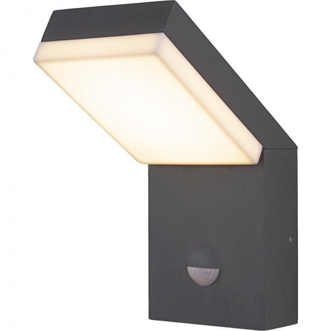 Уличный настенный светодиодный светильник ELEKTROSTANDARD SENSOR 1541 TECHNO LED IP54 серый a053947 Уличный настенный светодиодный светильник ELEKTROSTANDARD SENSOR 1541 TECHNO LED IP54 серый a053947